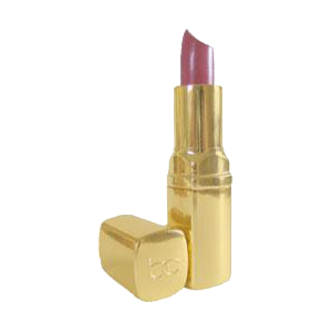 Luxury Lip Color Hydrating Creamy Long-Wear Satin Lipstick Collection