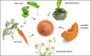 Pumpkin Enzyme (5698402713767)