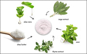Mint Souffle Whipped Cleanser (456358264861)