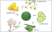 Cucumber Ice Sorbet (3548868345928)