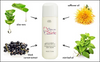 Black Currant Berry and Mint Leaf Body Cream (6242237874343)