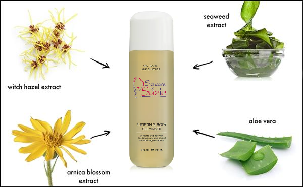 Purifying Body Cleanser (6241610072231)
