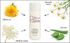 Chamomile Cleansing Milk (1320848326728)