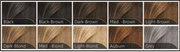 Hairfor2 Hair Thickening Fiber Spray  10 Colors (5300827357351)