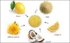 Lemon Sugar Scrub (4477754671176)