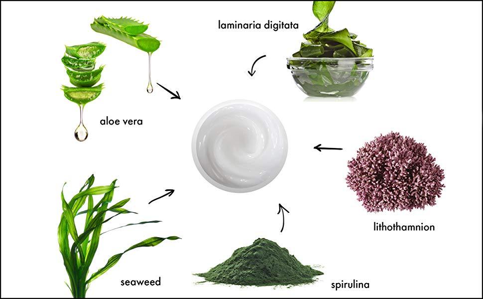 Ultra-Light Seaweed Cream (6228468531367)